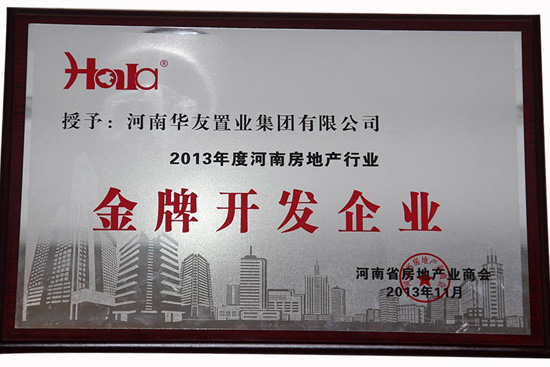 2013年度金牌开发企业.JPG