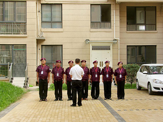 安防团队 (2).jpg